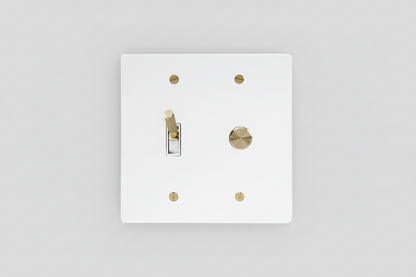  Solid Brass Light Switch 2-Gang