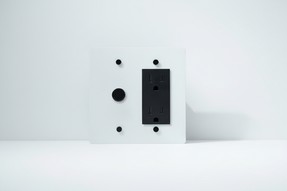  Solid Brass Light Switch 2-Gang