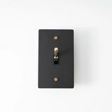 Black-Gold Brass Panel Plate Toggle