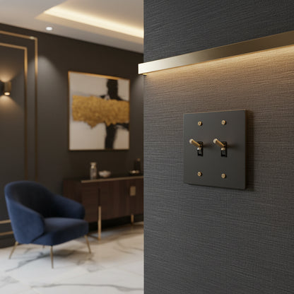 Black-Gold Brass Panel Plate Toggle