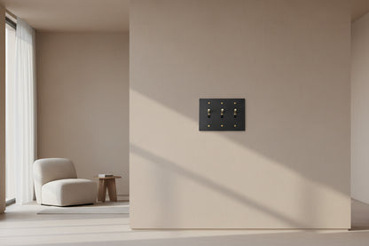 Black-Gold Brass Panel Plate Toggle