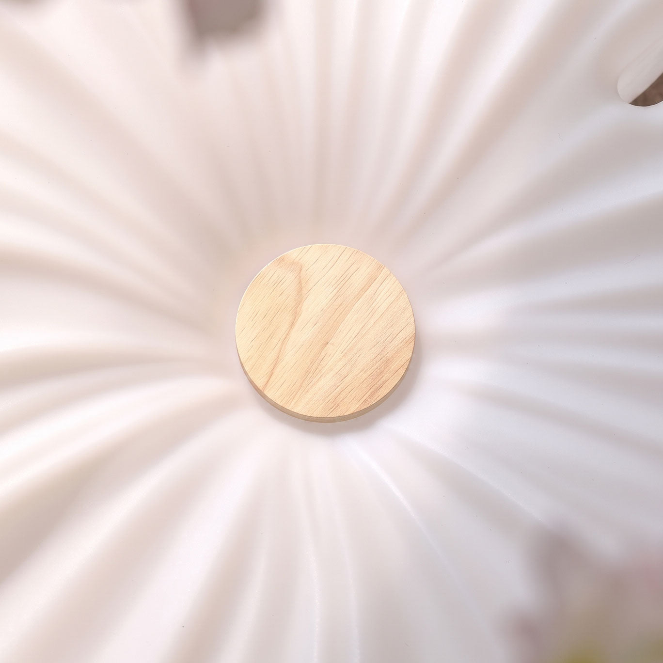 Caspian Flower Ceiling Light